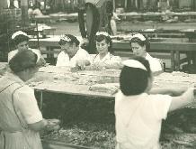 Van Camp's Cannery, Terminal Island
