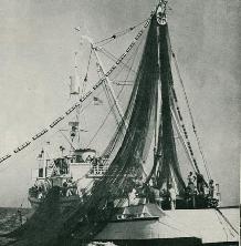 purse seiner